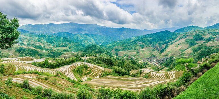 Longji (Dragon's Backbone) Terraced Rice Fields
