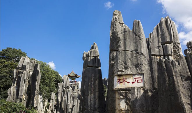 One-Day Stone Forest Tour From Kunming