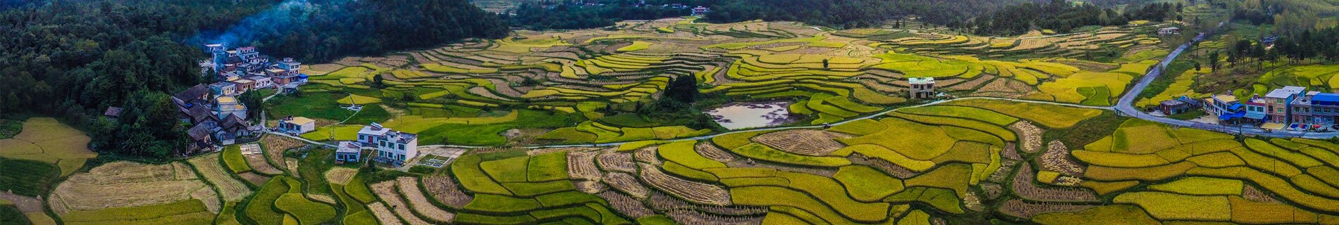 Yunnan Luoping Rice Terraced Fields