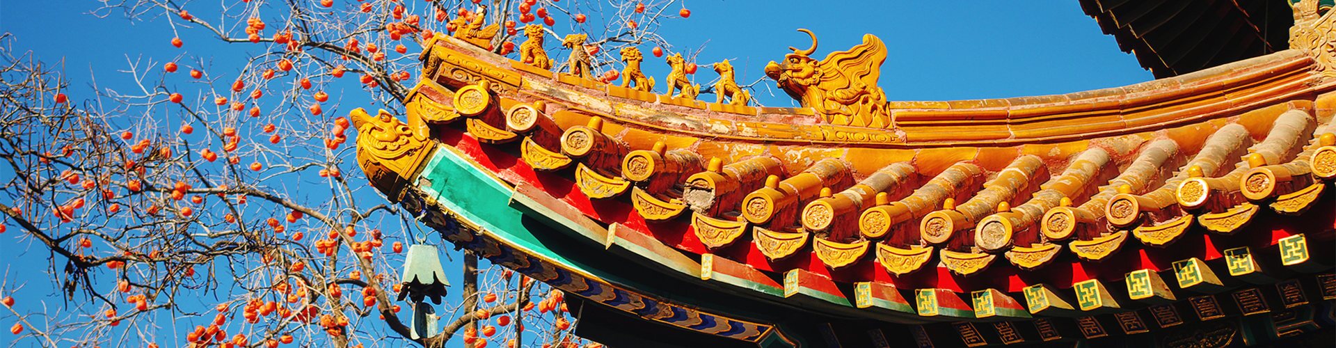 Beijing - an Ancient Capital You'll Never Find Boring