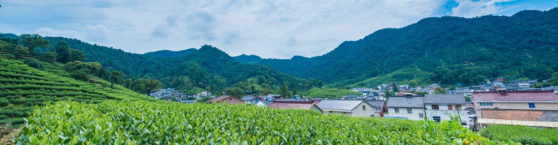 Meijiawu Tea Plantation – to Experience Tea Culture