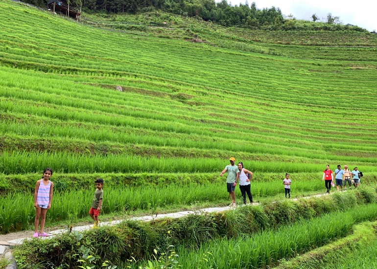 Longji Rice Terraced Fields
