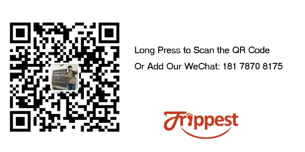 Trippest Customer Service WeChat