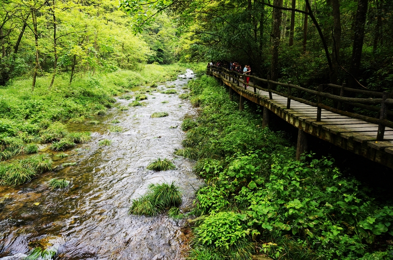 zhangjiajie